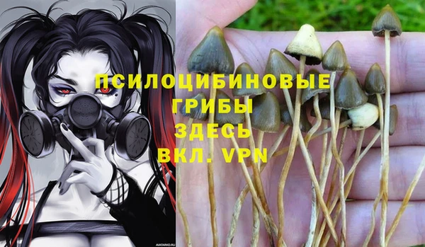 таблы Алексин