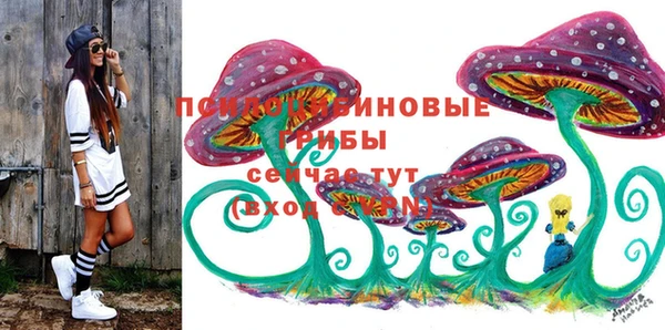 экстази Покачи