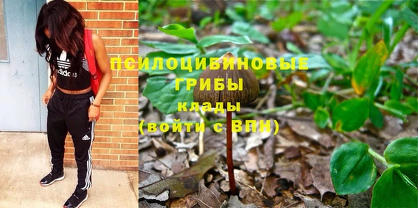 таблы Алексин